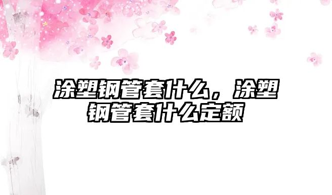 涂塑鋼管套什么，涂塑鋼管套什么定額