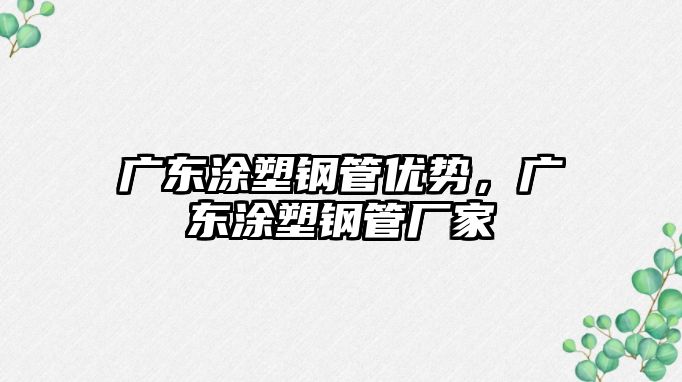 廣東涂塑鋼管優(yōu)勢，廣東涂塑鋼管廠家