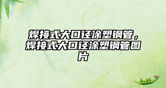 焊接式大口徑涂塑鋼管，焊接式大口徑涂塑鋼管圖片