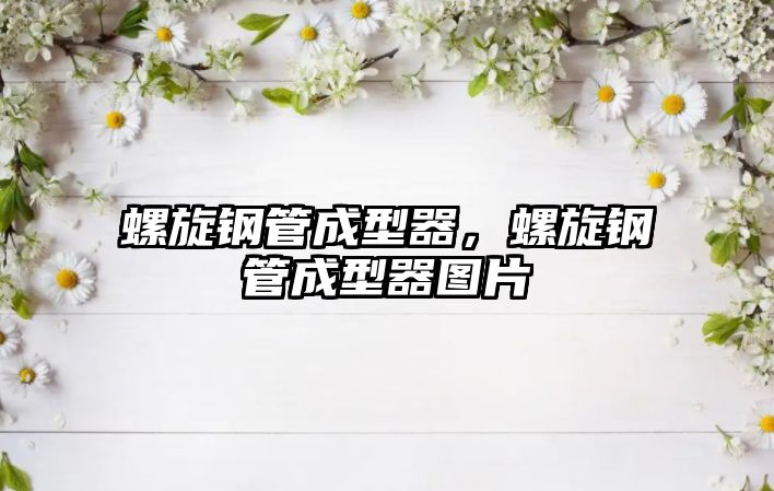 螺旋鋼管成型器，螺旋鋼管成型器圖片