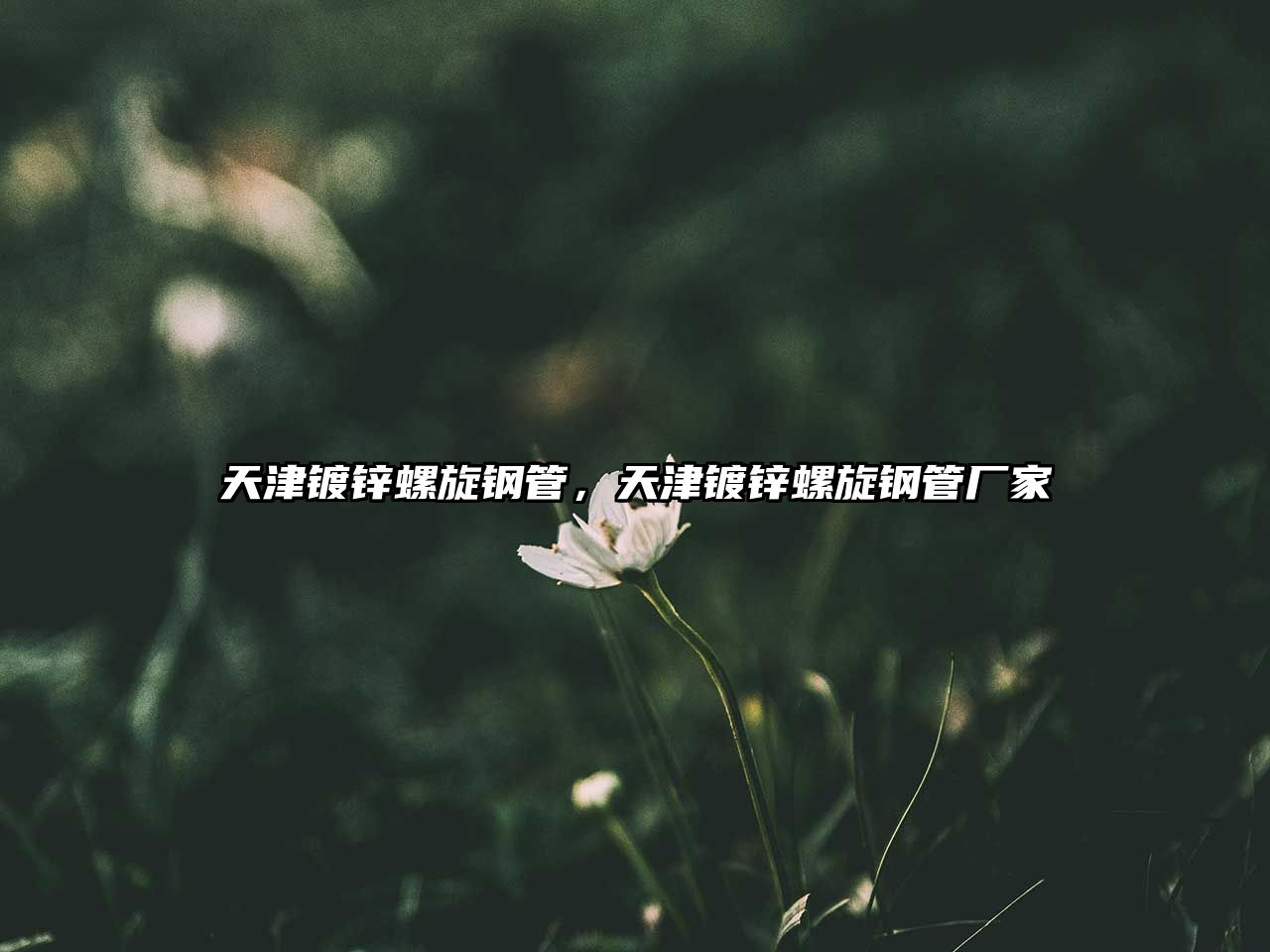 天津鍍鋅螺旋鋼管，天津鍍鋅螺旋鋼管廠家